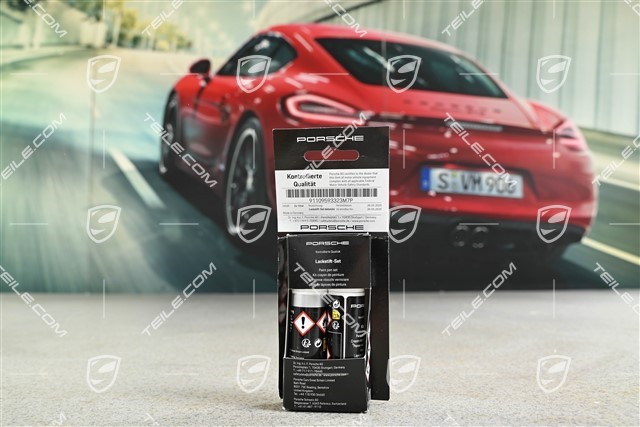 Paint touch-up applicator (base coat, Clear lacquer)  Dolomite Silver Metallic