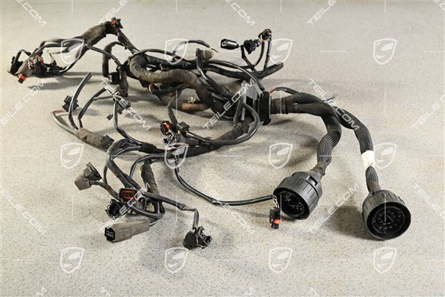 Wiring harness (cut plug)