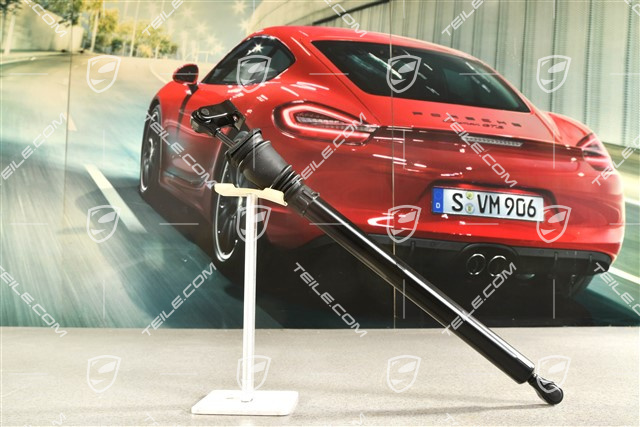 Türfeststeller, Hintertür, L