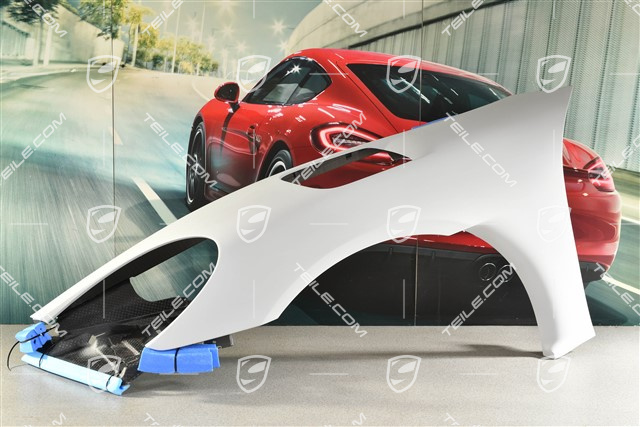 GT4 RS/Spyder RS Fender / Wing, L