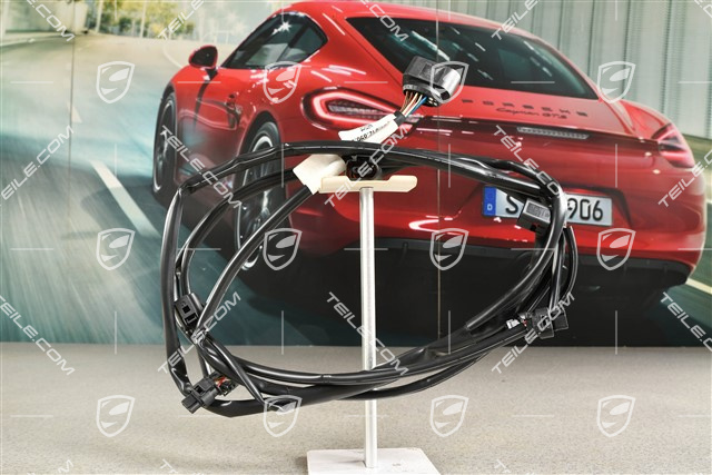 Wiring harness rear, parking sensors