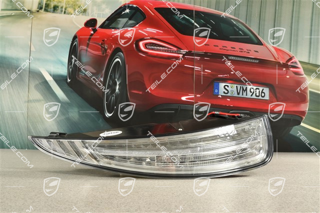 Lampa tylna przezroczysta (biała), światło przeciwmgielne lewe, L (uszkodzony narożnik)