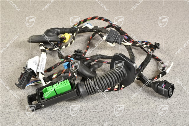 Kabelstrang / Kabelbaum, Fahrertür