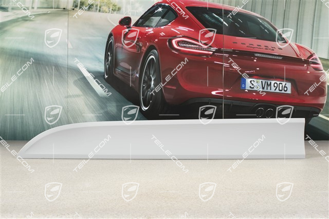 Blende, Tür, vorne, lack, L