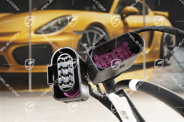 Wiring harness, Coupe