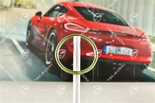 Sealing ring, Intercooler, 3,0 Diesel