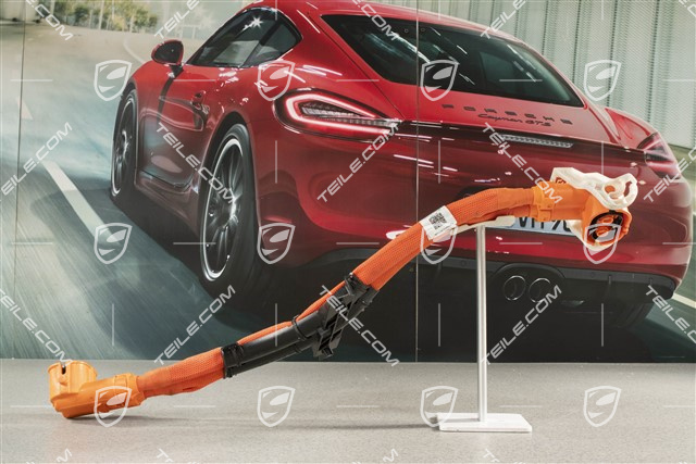 Wiązka kabli wysokiego napięcia