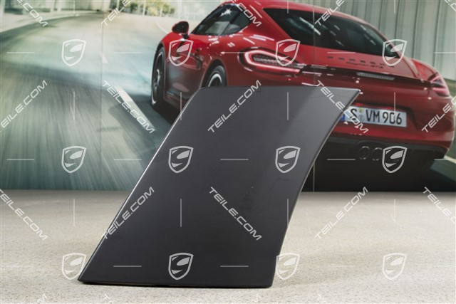 Verkleidung, Seitlich, Schwarz-matt, GT2RS, R