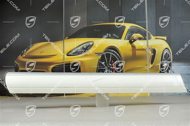 Zierleiste für Vordertür, L Zierleiste für Vordertür, L