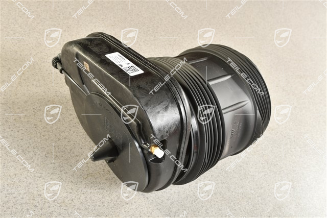 Stossdämpfer, Hinterachse, PASM, L