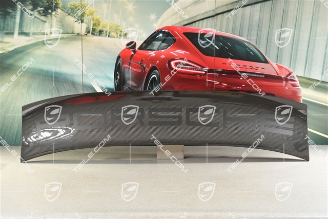 GT2RS rear spoiler/wing