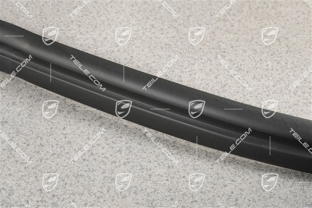 Türdichtung, innen, Cabrio, R