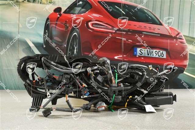 Wiązka elektryczna silnika, Turbo z PASM