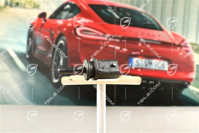 Temperature sensor, engine compartment