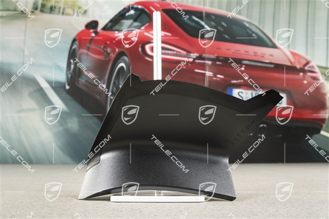 Rear light cover, outer, R