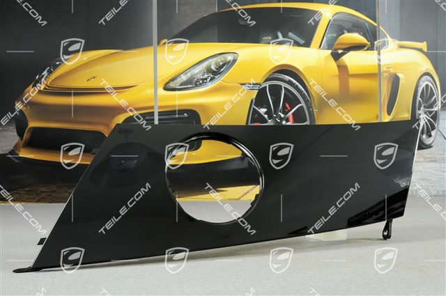 Huracan LP 580-2/LP 610-4 - Abdeckung, Coupe, R Huracan LP 580-2/LP 610-4 - Abdeckung, Coupe, R