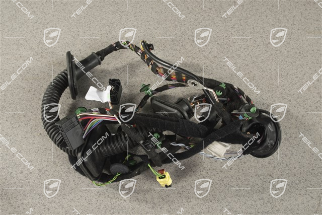 Kabelstrang / Kabelbaum Beifahrertür, Klangpaket ASK, R