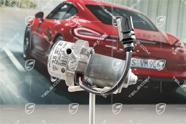 Vacuum pump, V8 4,5L Turbo