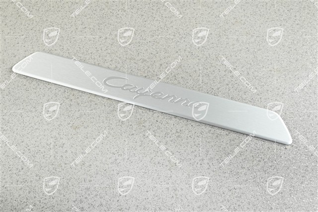 Schwellerleiste / Einstiegleiste - Blende gebürstet edelstahl, Vorne, Cayenne, L=R