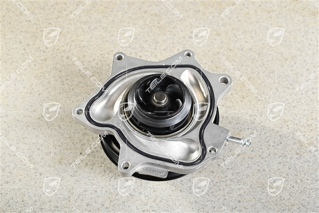 Wasserpumpe komplett mit Riemenscheibe