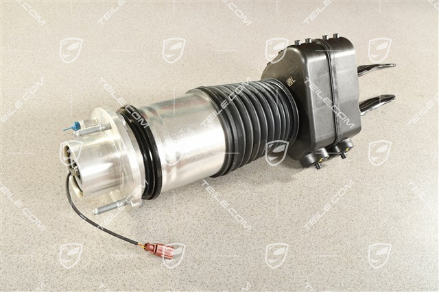 Stossdämpfer / Schwingungsdämpfer, Luftfederung, VA, PASM, L