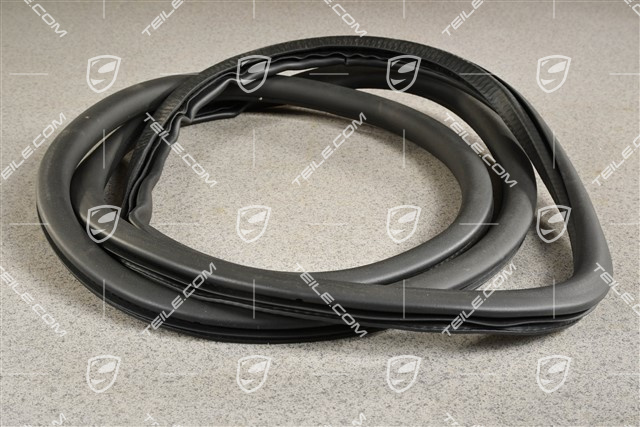 Hintertür, Tuerdichtung / Türdichtung, innen, L