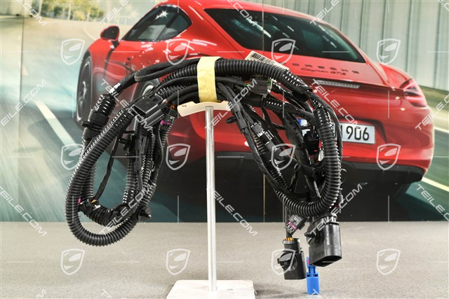 Wiring harness, PDC / Real Top View