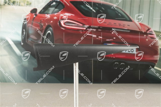 Blenda drzwi tylnych, wewnętrzna, czarna, R