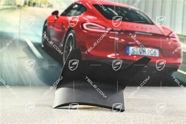 Heckleuchte Abdeckung, aussen, L