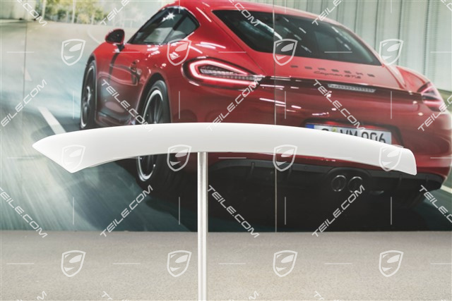 Front bumper disc / trim, lacquered, lower, R