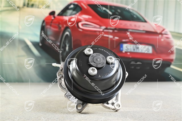 Wasserpumpe komplett mit Riemenscheibe