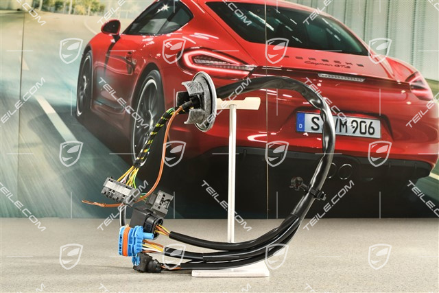 Luggage compartment wiring harness, litronic headlights, R