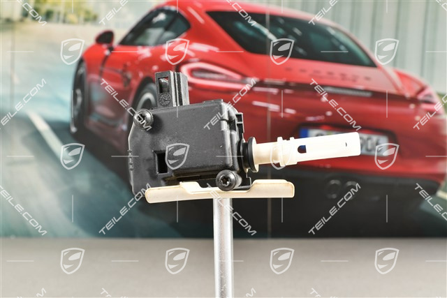 Stellelement, Kofferraum hinten