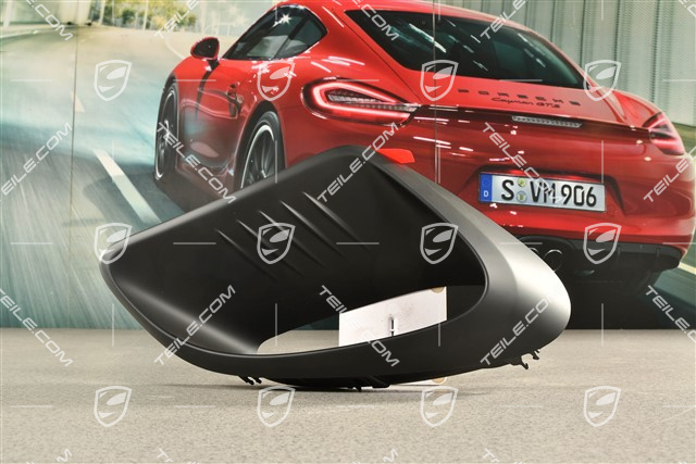 GT3RS, Blende für Lufteinlass, seitlich, L