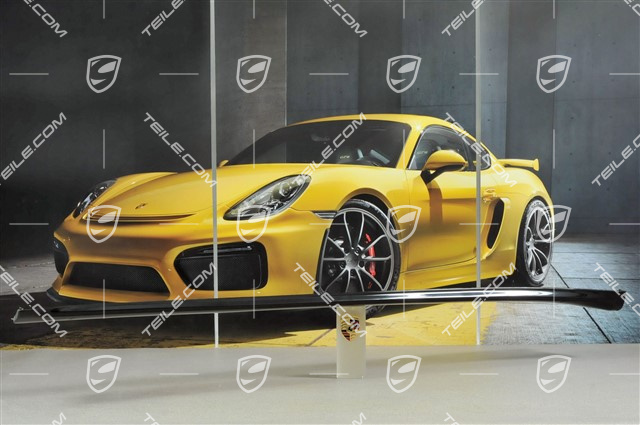 Schwellerblende, C4/C4S/GT3/911R, lackiert, L