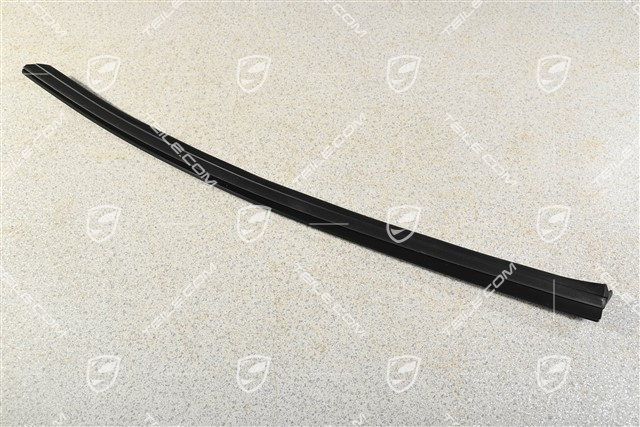 Zierleiste / Halteschiene, Targa, R