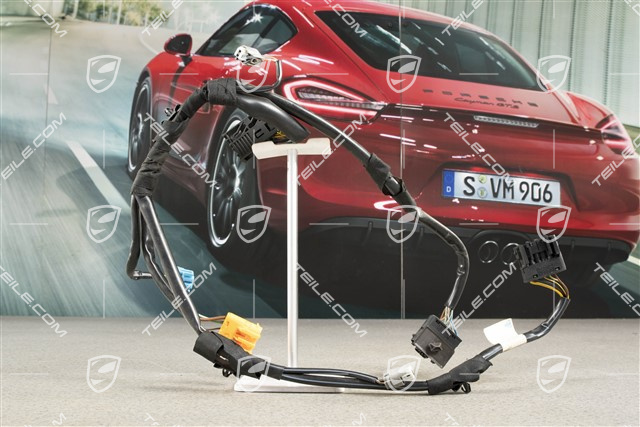 Wiązka elektryczna, pałąk bezpieczeństwa, Cabrio