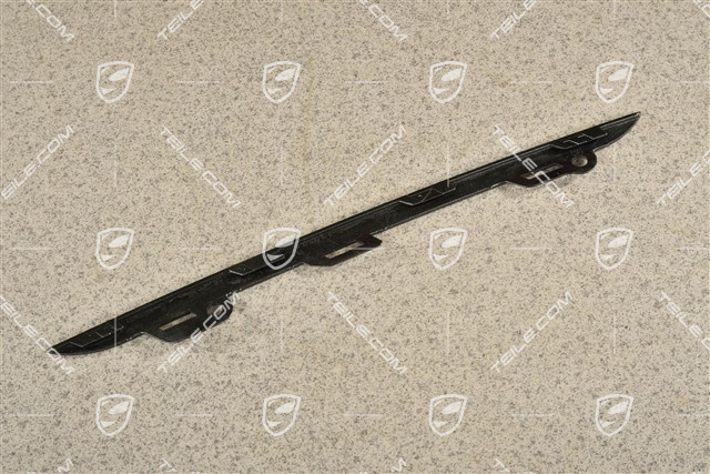 Disc / cover lower, trim for front bumper retaining frame, Rhodium Silver, L