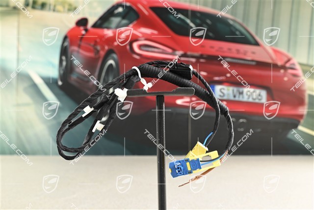 Kabelstrang, Seiten Airbag, L