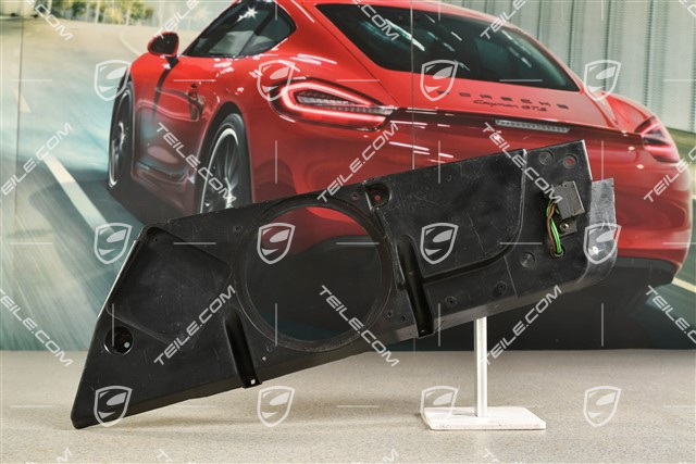 Speaker retaining frame, passengers door, R