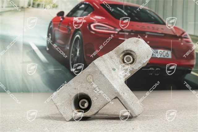 S 3,0L / 3,6L, Rear differential damper