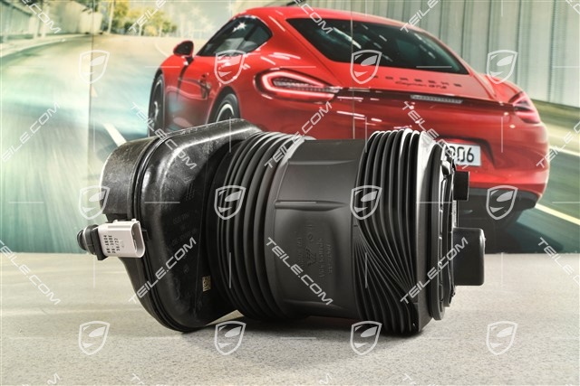 Stossdämpfer, Hinterachse, PASM, R