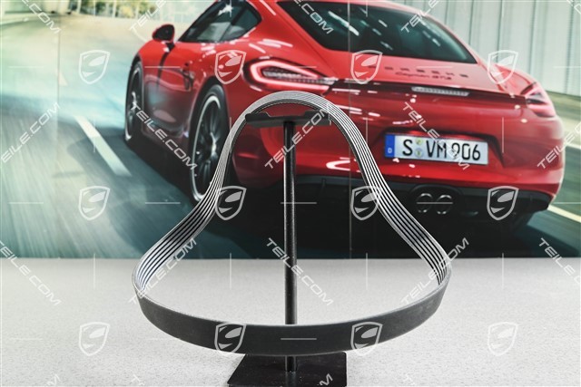 Poly-Rip-Riemen, Lichtmaschine