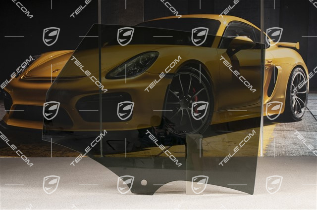 Szyba drzwi tylnych, Przyciemniana, R