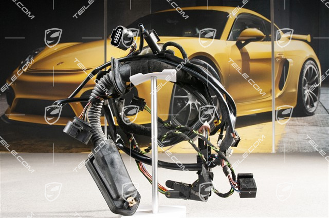 Kabelstrang / Kabelbaum, Fahrertür