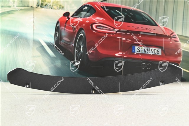Trim fo rear spoiler Aero Kit Cup