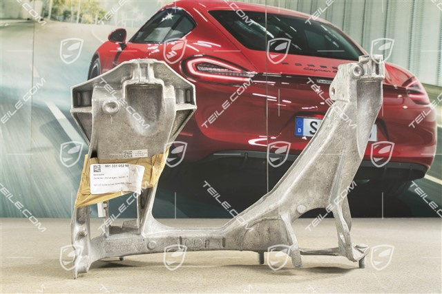 Rear suspension side section / panel, Spyder, R