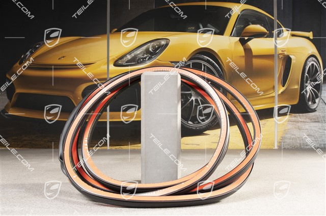 Uszczelka drzwi przednich, zewnętrzna