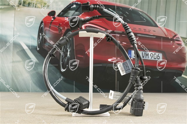 Wiring harness, ABS/Brake pad wear indicator, Rear, R