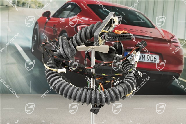 Kabelstrang Beifahrertür / soundpaket 1